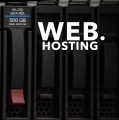 WHAT IS WEB HOSTING ?